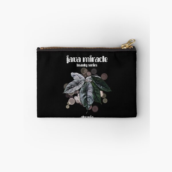 Item preview, ALOCASIA JAVA MIRACLE Beauty Series designed and sold by MYPLANTEES.