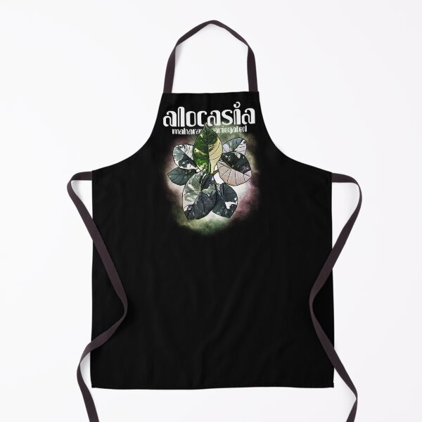 Item preview, ALOCASIA MAHARANI Variegated designed and sold by MYPLANTEES.