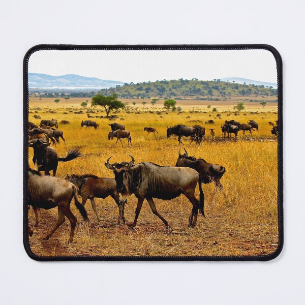 Item preview, Photograph of the great migration designed and sold by mortal perspective .