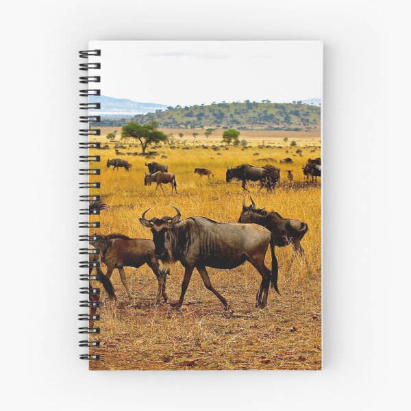 Item preview, Photograph of the great migration designed and sold by mortal perspective .