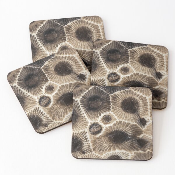 Item preview,  Petoskey Stone designed and sold by Caitliaulfield.