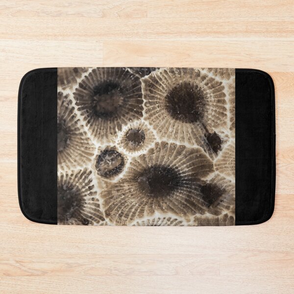 Item preview,  Petoskey Stone designed and sold by Caitliaulfield.
