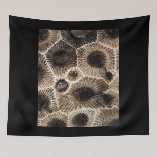 Item preview,  Petoskey Stone designed and sold by Caitliaulfield.
