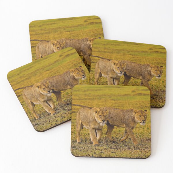 Item preview, Lionesses designed and sold by mortal perspective .