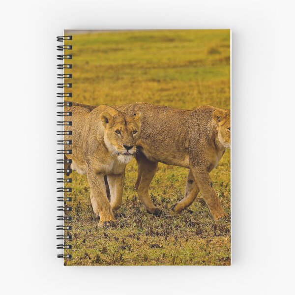Item preview, Lionesses designed and sold by mortal perspective .