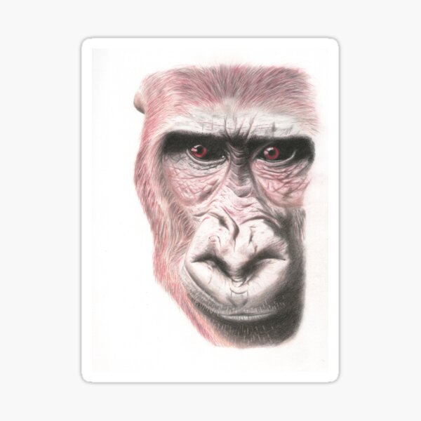 Great Ape Pencil Art Sticker