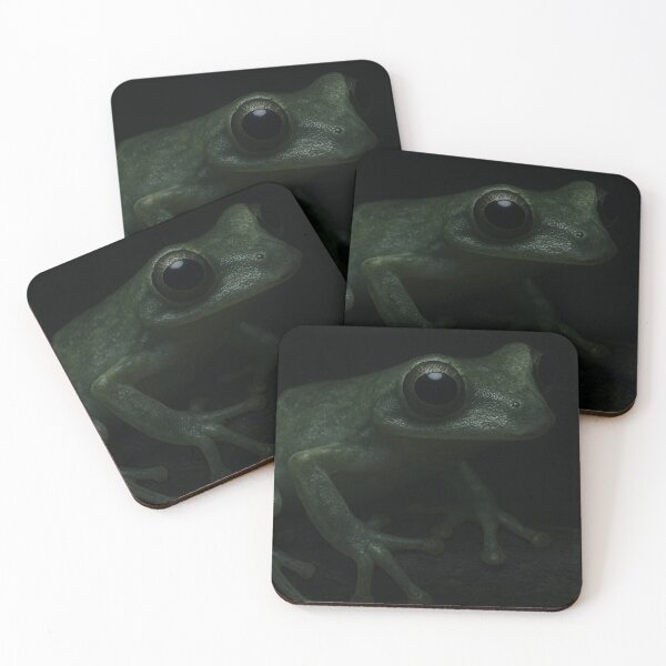 Item preview, Glass Frog – Transparent Rainforest Amphibian Wildlife designed and sold by NocturnalNook.