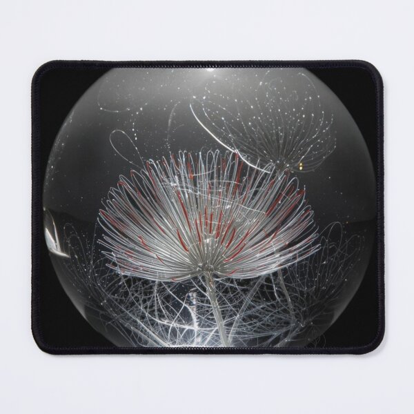 Item preview, dandelion light-white pattern on grey glass sphere,dandelion dance designed and sold by Raindreamart.