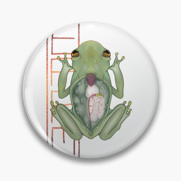 Item preview, Glass Frog designed and sold by birdworm.