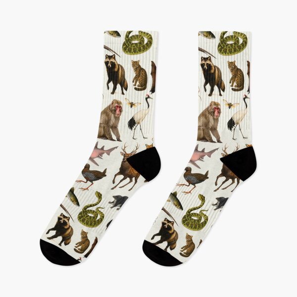 Item preview, Animals of Japan Retro Illustration Wildlife Chart designed and sold by kakarikihill.