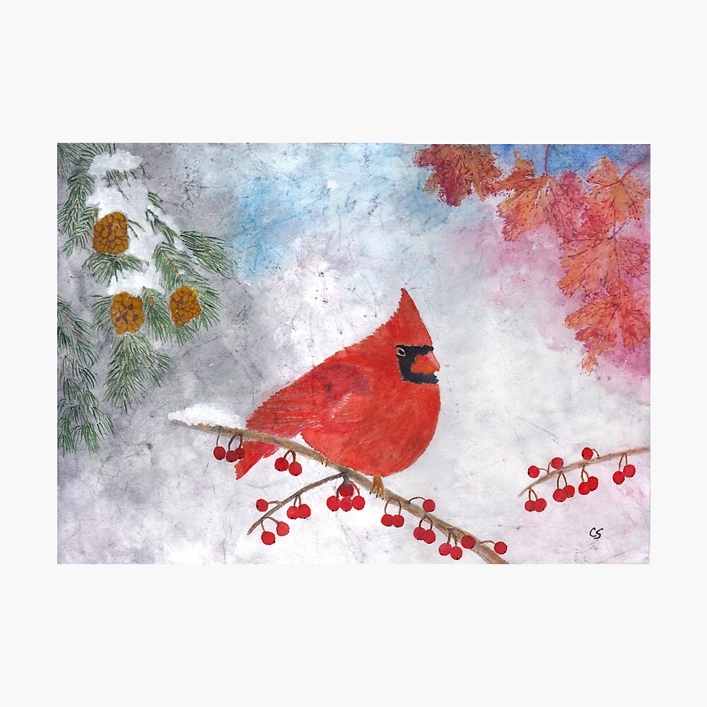 Red Cardinal with Blue Jay Birds - Art Print of Watercolor Painting - new  year winter holidays birds nature Christmas purple berries cards