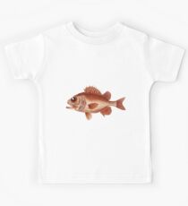 Big Eyed Fish Kids Tee