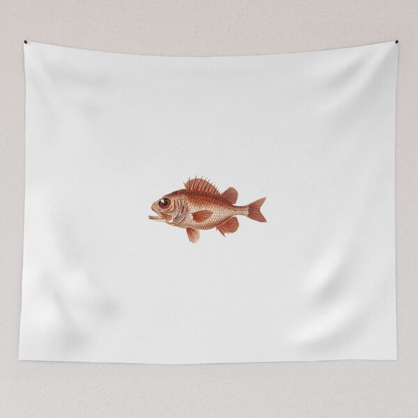 Item preview, Big Eyed Fish designed and sold by Reethes.