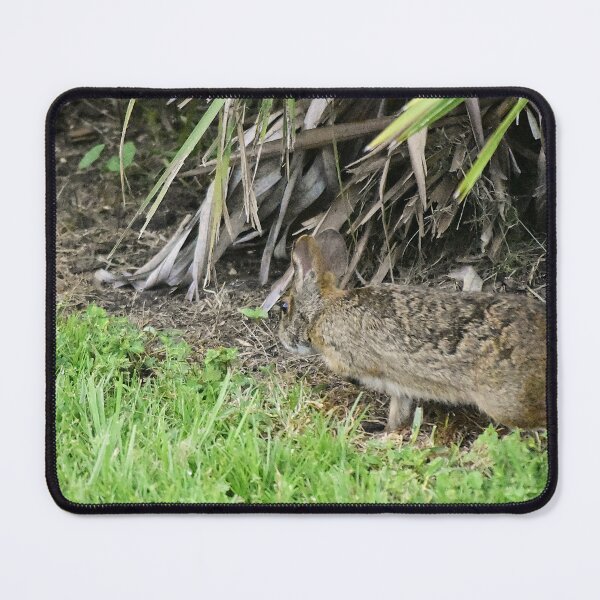 Item preview, Bunny Hop designed and sold by MercerImages.