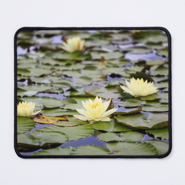Item preview, Yellow Waterlilies designed and sold by Delfino.