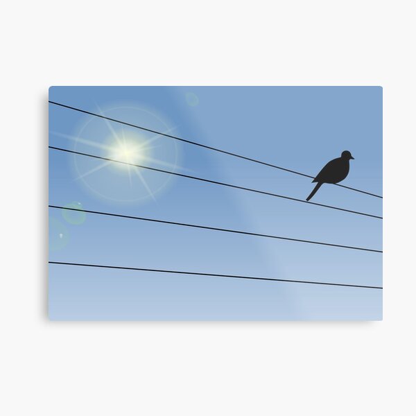 Crow Perched on Wire Metal Print