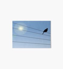 Crow Perched on Wire Art Board