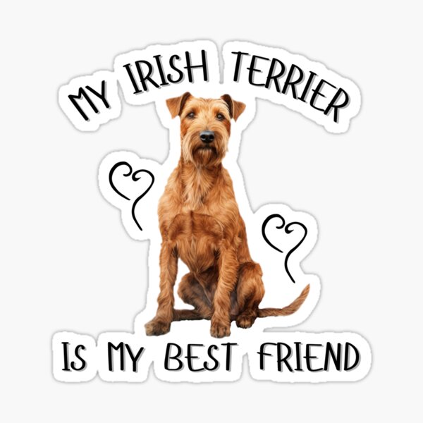 Irish terrier cute illustration pattern 