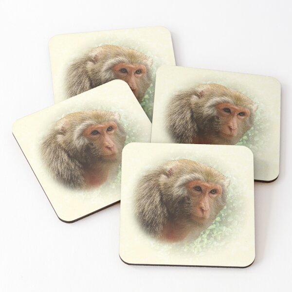 Item preview, Rhesus Macaque designed and sold by Guardi71.