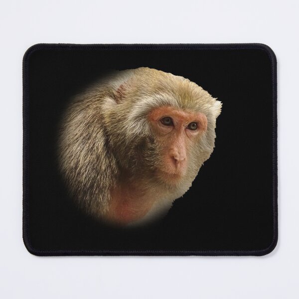 Item preview, Rhesus Macaque designed and sold by Guardi71.