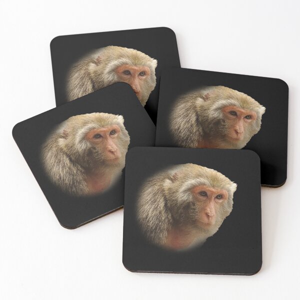 Item preview, Rhesus Macaque designed and sold by Guardi71.
