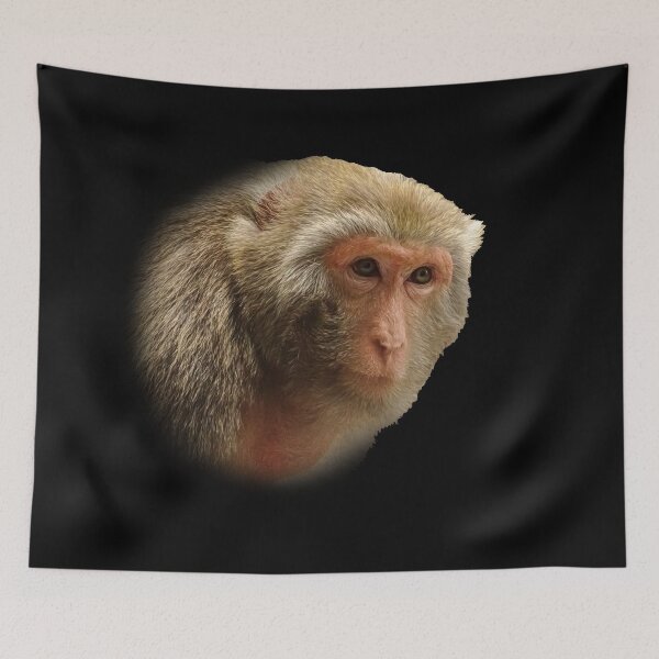 Item preview, Rhesus Macaque designed and sold by Guardi71.