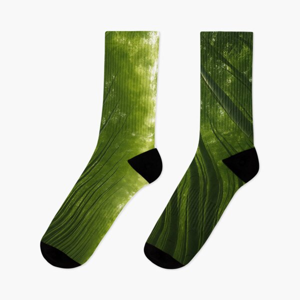 Item preview, Sunlit Bamboo Forest Canopy designed and sold by SassyArtistry.