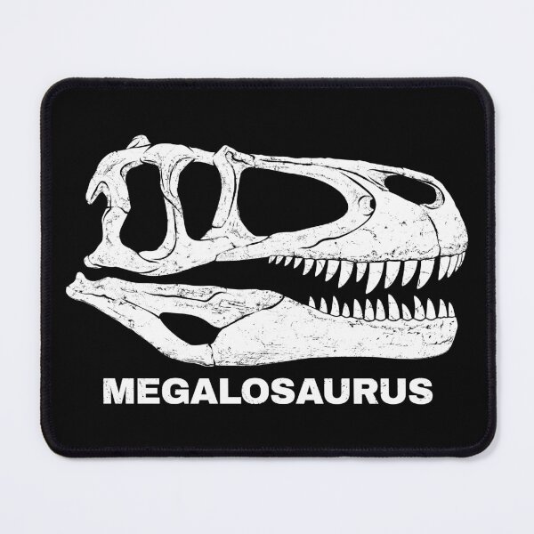 Item preview, Megalosaurus fossil skull designed and sold by NicGrayGraphic.