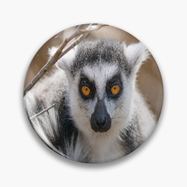 Item preview, Lemurs are fascinating prosimians and their home is Madagascar! designed and sold by FotoworldEdel.