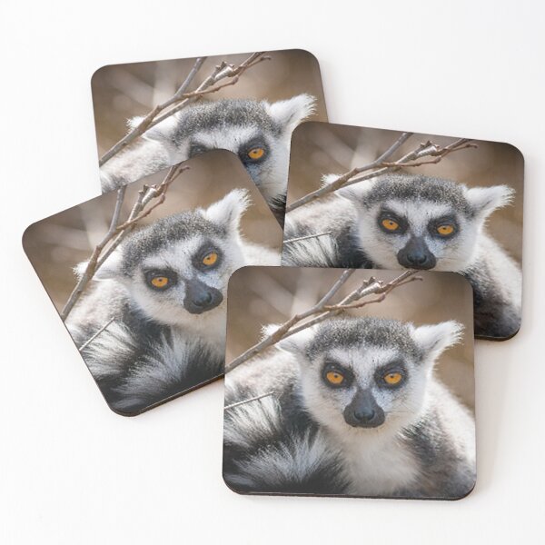 Item preview, Lemurs are fascinating prosimians and their home is Madagascar! designed and sold by FotoworldEdel.