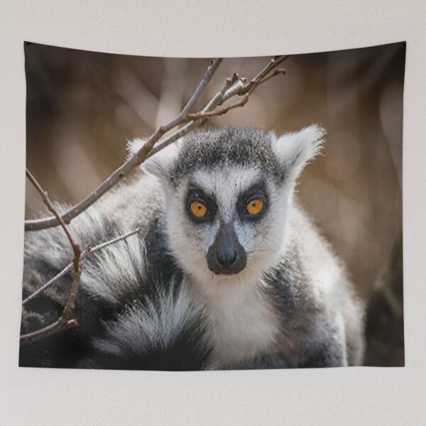 Item preview, Lemurs are fascinating prosimians and their home is Madagascar! designed and sold by FotoworldEdel.