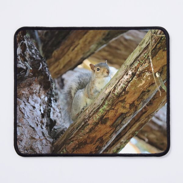Item preview, squirrel in the forest designed and sold by Cassandra’s Designs.