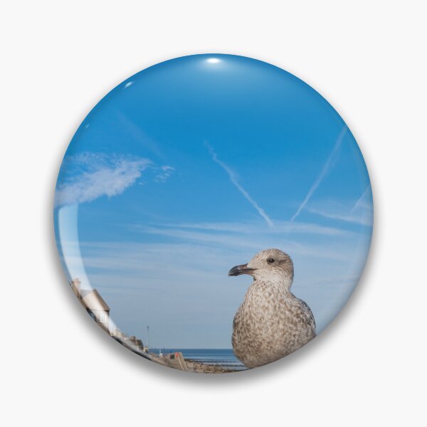 Item preview, Seagull on the Norfolk Coast designed and sold by yackers1.