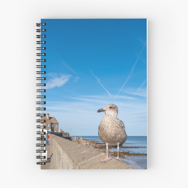 Item preview, Seagull on the Norfolk Coast designed and sold by yackers1.