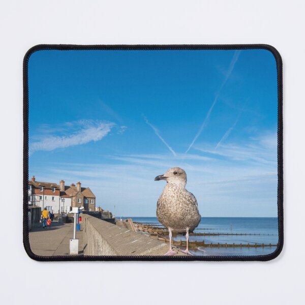 Item preview, Seagull on the Norfolk Coast designed and sold by yackers1.