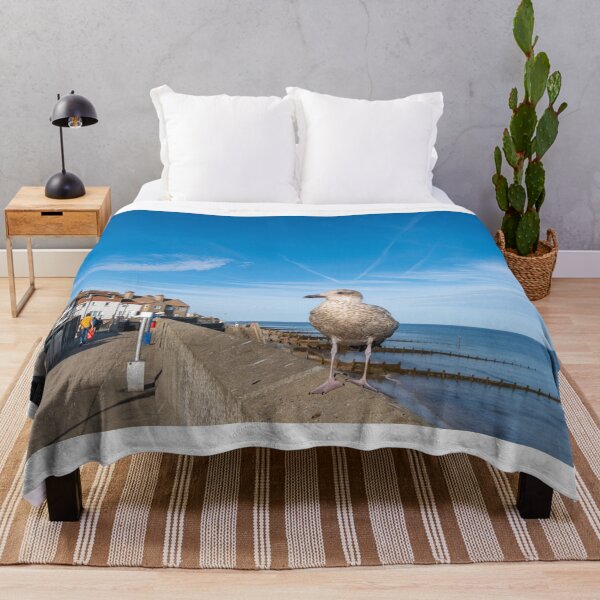 Item preview, Seagull on the Norfolk Coast designed and sold by yackers1.