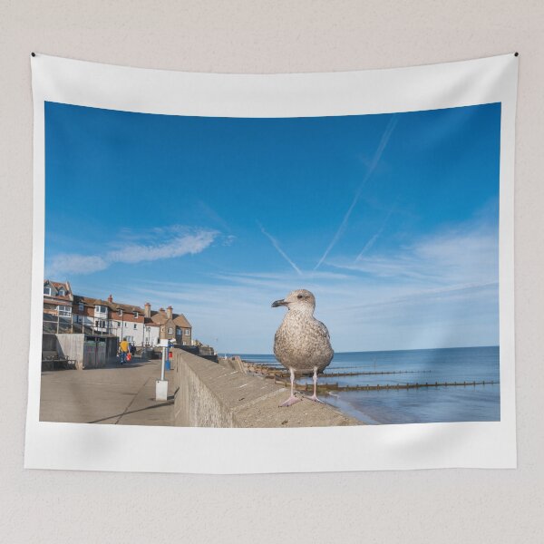 Item preview, Seagull on the Norfolk Coast designed and sold by yackers1.