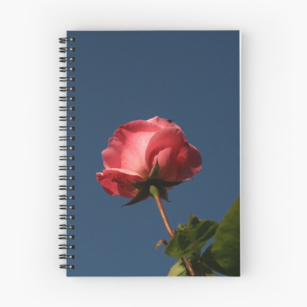 Item preview, Red  Rose. designed and sold by Forfarlass.
