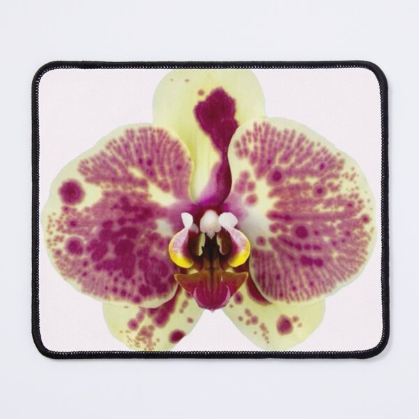 Item preview, spotted yellow + pink orchid flower sticker designed and sold by inainart.