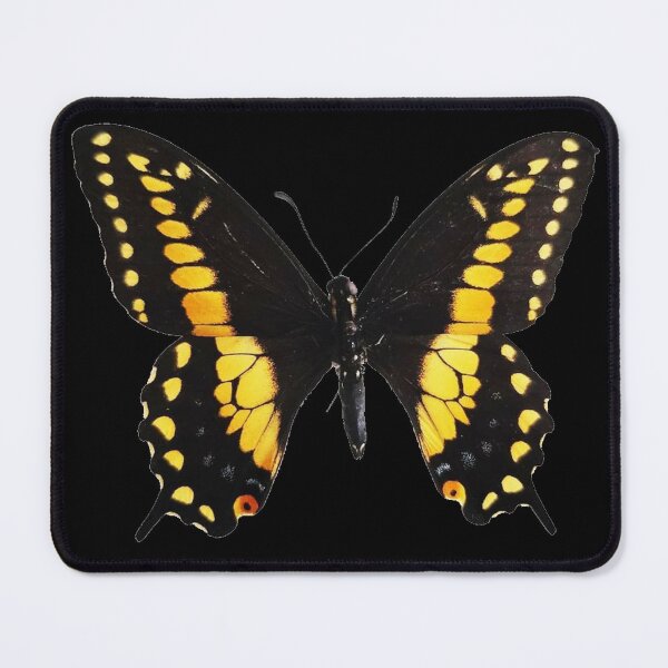 Item preview, butterfly sticker designed and sold by inainart.