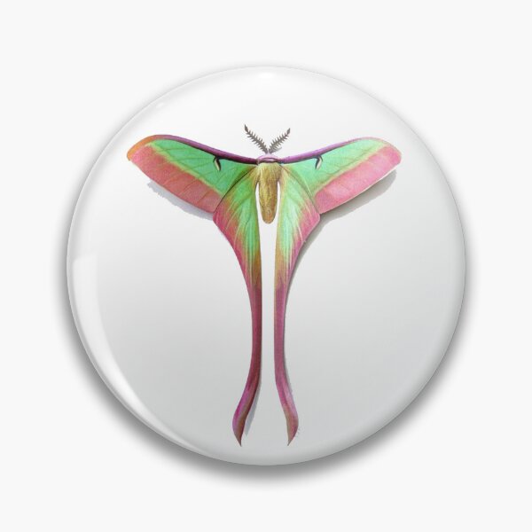Item preview, luna moth sticker designed and sold by inainart.