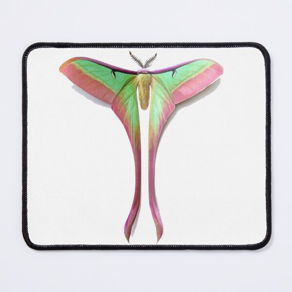 Item preview, luna moth sticker designed and sold by inainart.