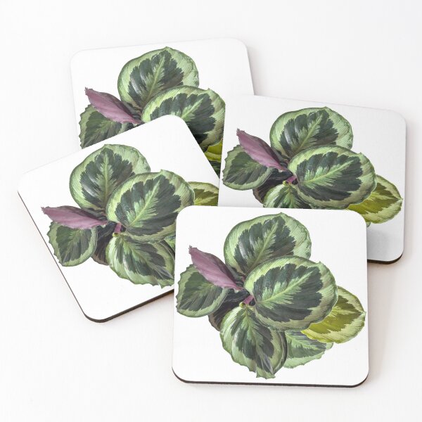 Item preview, maranta botanical plant sticker designed and sold by inainart.