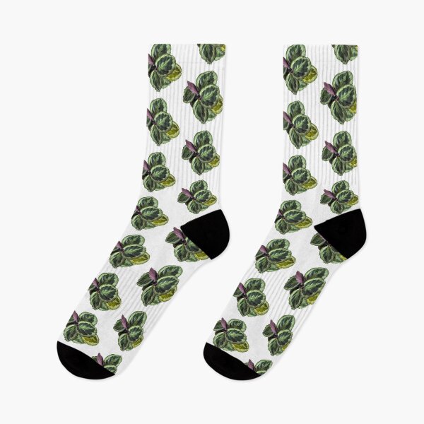 Item preview, maranta botanical plant sticker designed and sold by inainart.