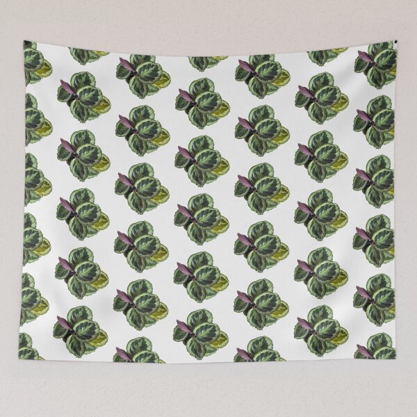 Item preview, maranta botanical plant sticker designed and sold by inainart.