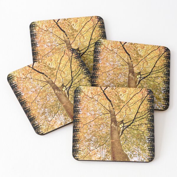Item preview, Beech Canopy Autumn Colour  designed and sold by Jim Key.