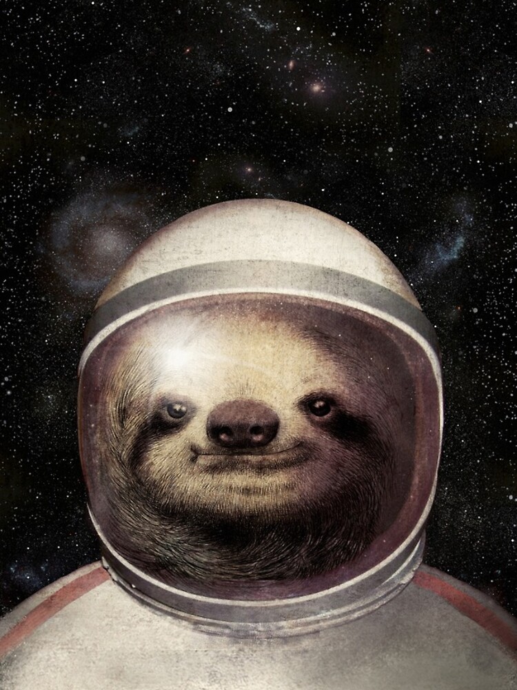 Space Sloth by opifan