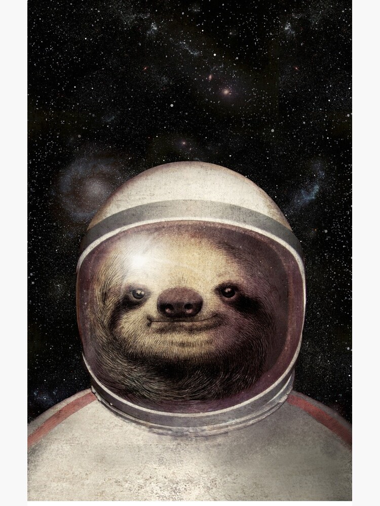 Space Sloth by opifan
