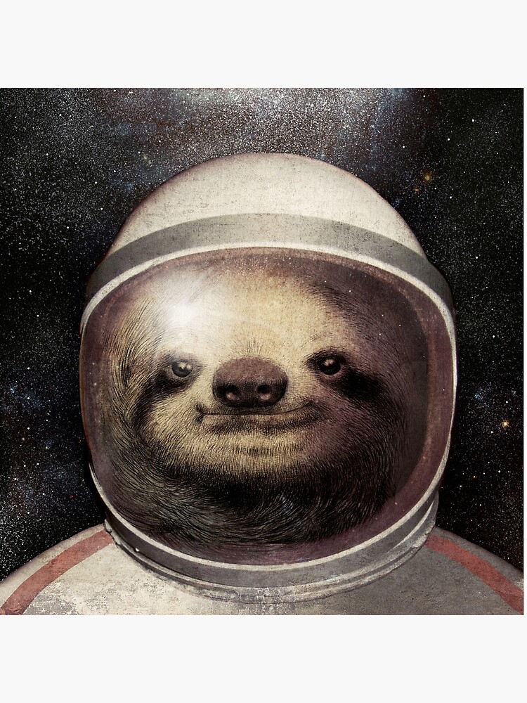 Space Sloth by opifan