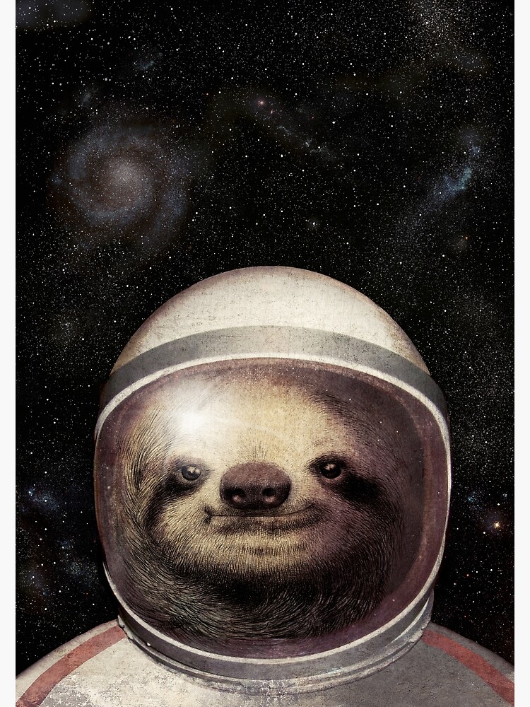 Space Sloth by opifan